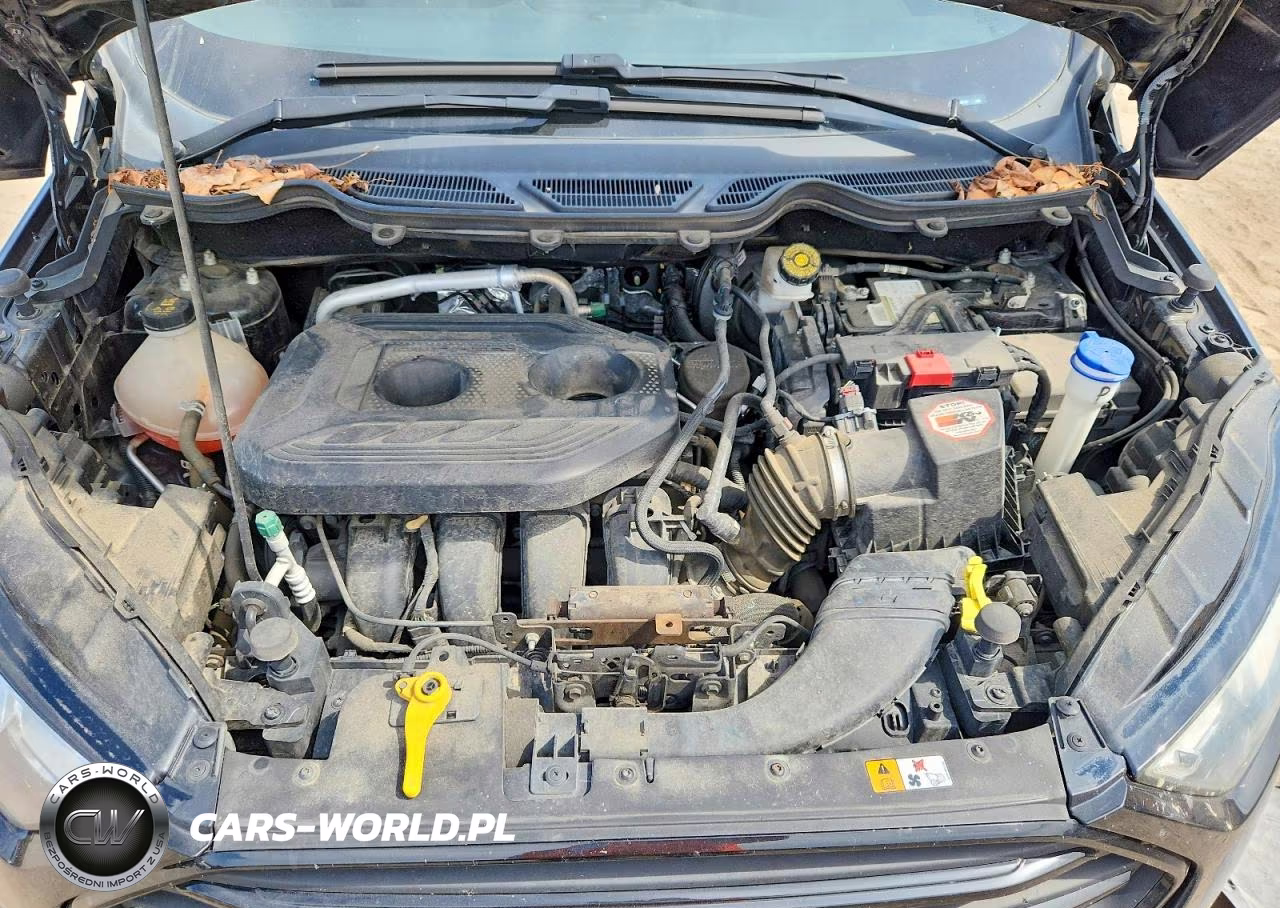 2018 Ford Ecosport S VIN:MAJ6P1SL2JC242121 - 11