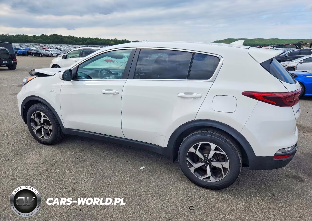 2020 Kia Sportage Lx VIN:KNDPMCAC8L7675989 - 2