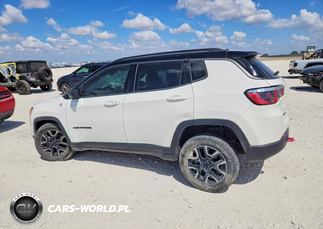 2019 Jeep Compass Trailhawk VIN:3C4NJDDB7KT595098 - 2