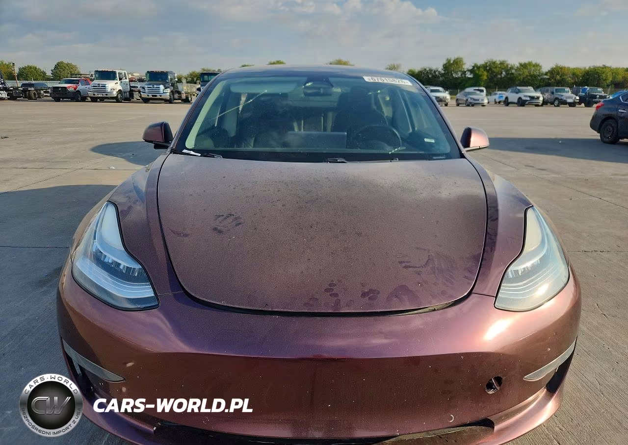 2021 Tesla Model 3 VIN:5YJ3E1EA3MF854252 - 5