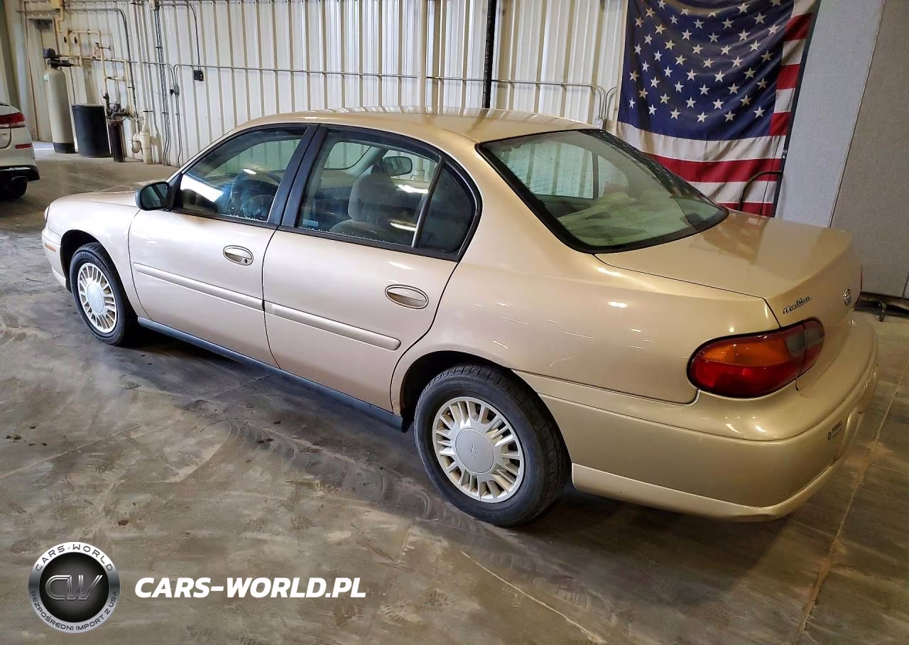 2003 Chevrolet Malibu VIN:1G1ND52J73M738557 - 2