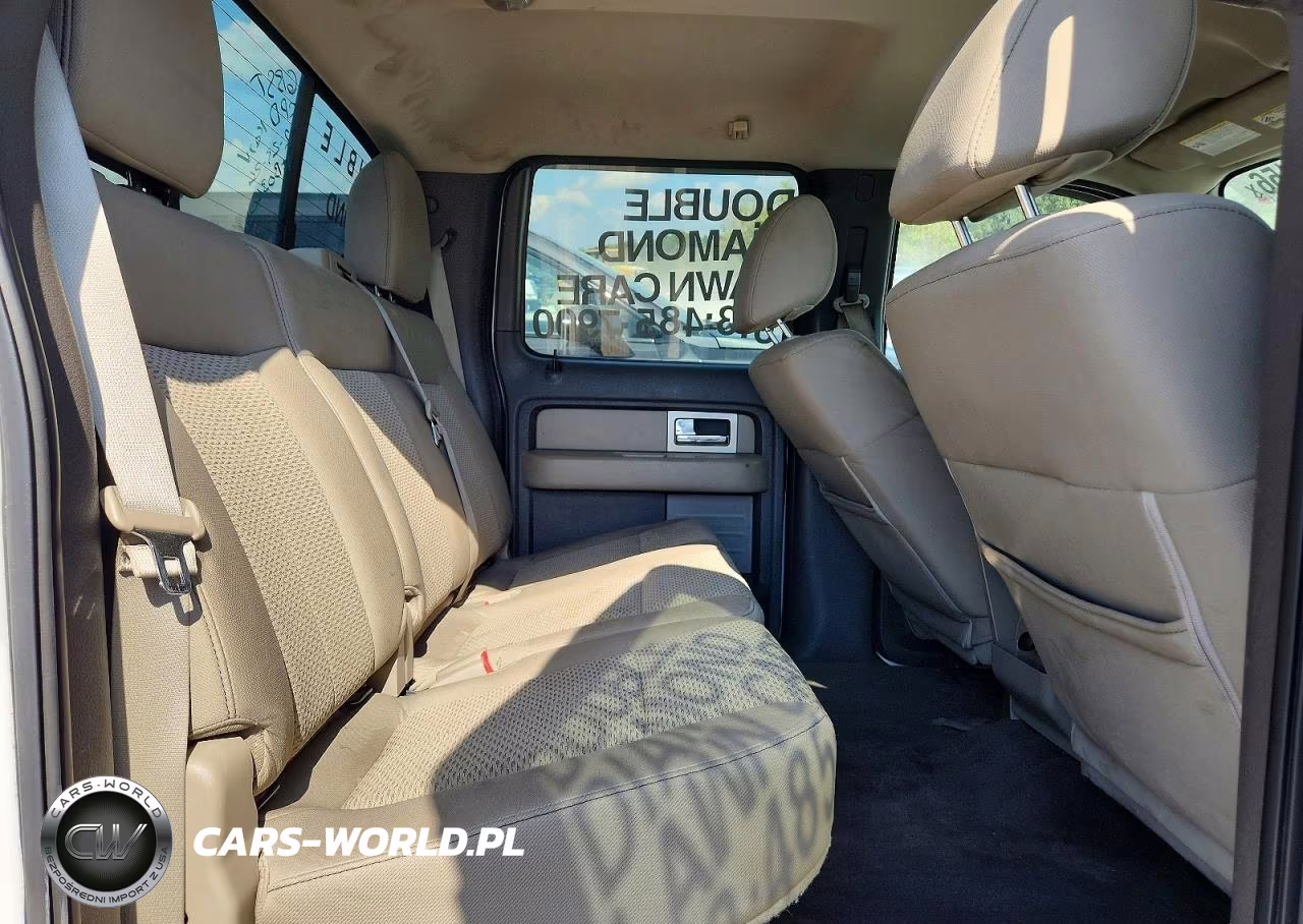 2010 Ford F150 Supercrew VIN:1FTEW1C85AFB03604 - 10
