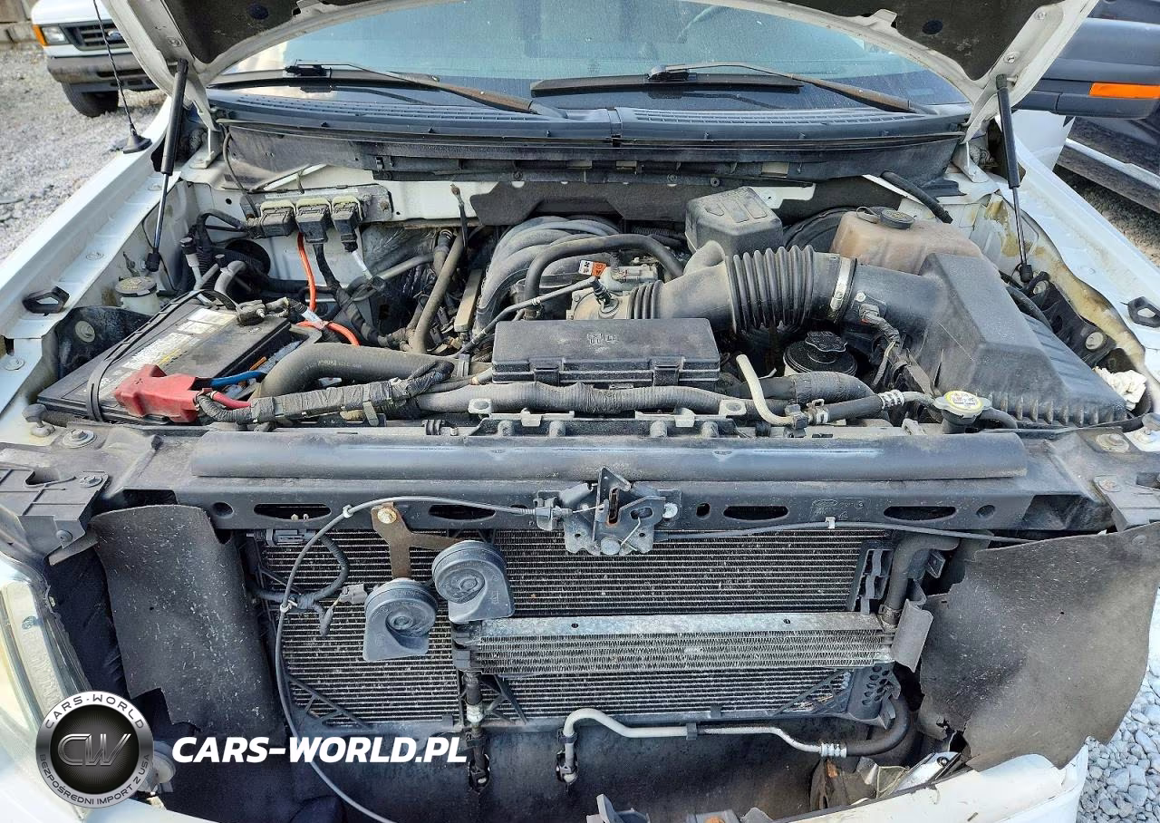 2010 Ford F150 Supercrew VIN:1FTEW1C85AFB03604 - 11