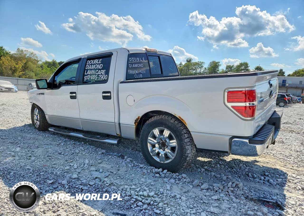 2010 Ford F150 Supercrew VIN:1FTEW1C85AFB03604 - 2
