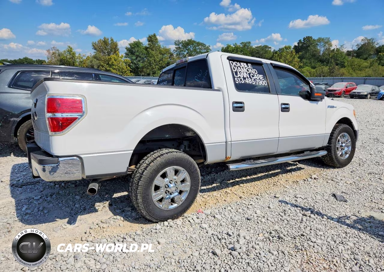 2010 Ford F150 Supercrew VIN:1FTEW1C85AFB03604 - 3