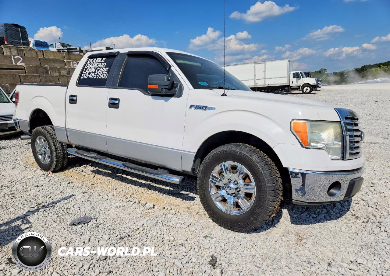 2010 Ford F150 Supercrew VIN:1FTEW1C85AFB03604 - 4