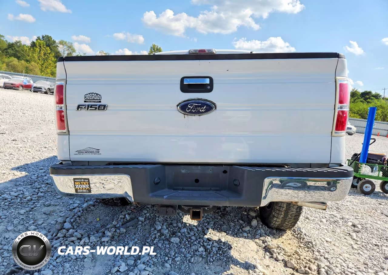 2010 Ford F150 Supercrew VIN:1FTEW1C85AFB03604 - 6