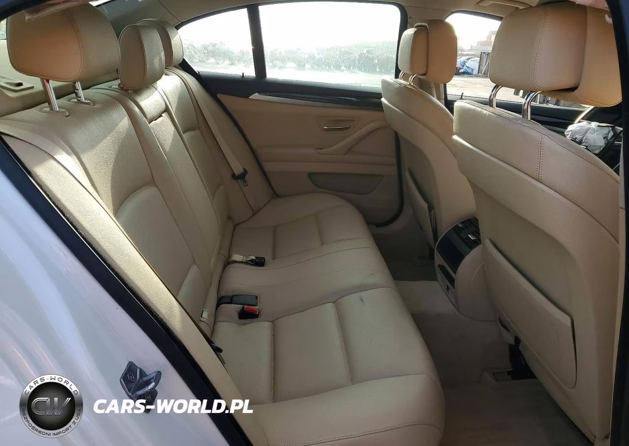 2013 BMW 528 I VIN:WBAXG5C50DD229207 - 10