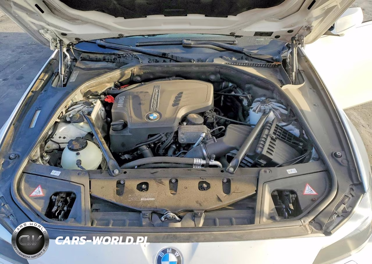 2013 BMW 528 I VIN:WBAXG5C50DD229207 - 11