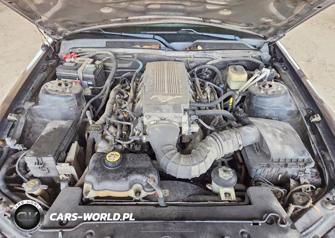 2008 Ford Mustang Gt VIN:1ZVHT82H585109982 - 11