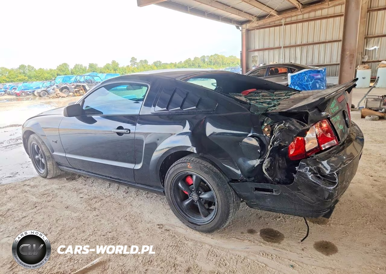 2008 Ford Mustang Gt VIN:1ZVHT82H585109982 - 2