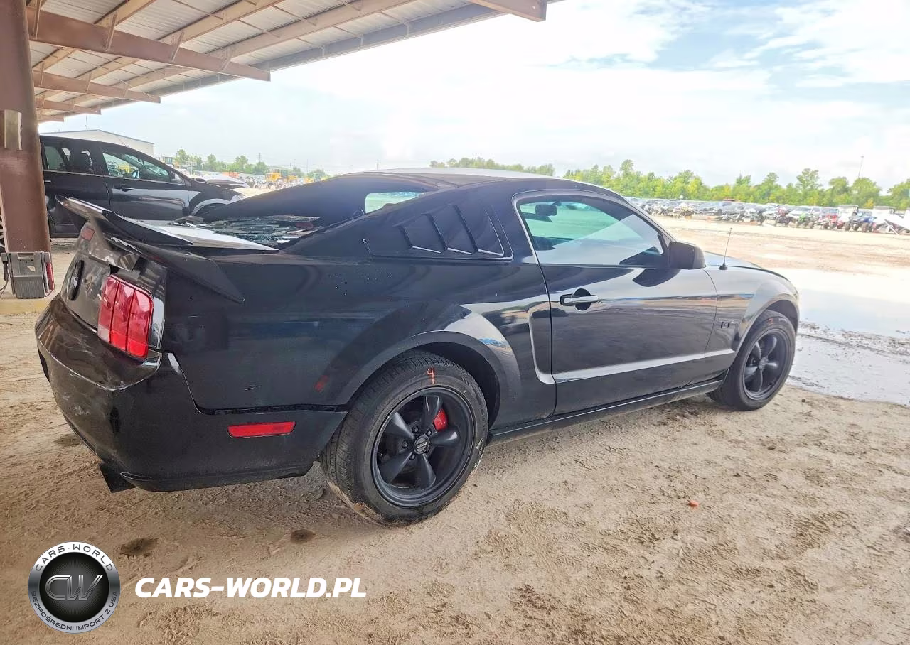 2008 Ford Mustang Gt VIN:1ZVHT82H585109982 - 3