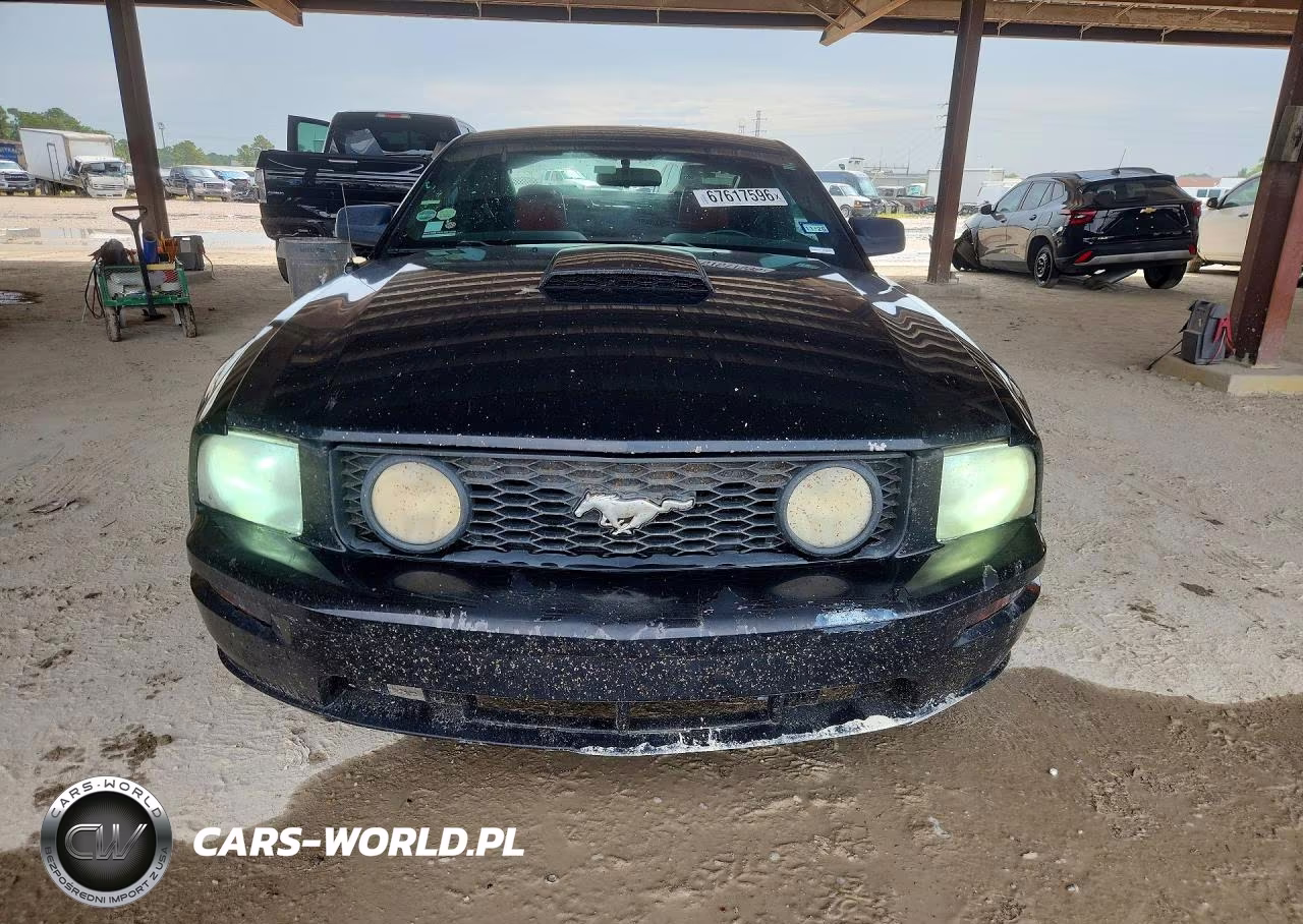 2008 Ford Mustang Gt VIN:1ZVHT82H585109982 - 5