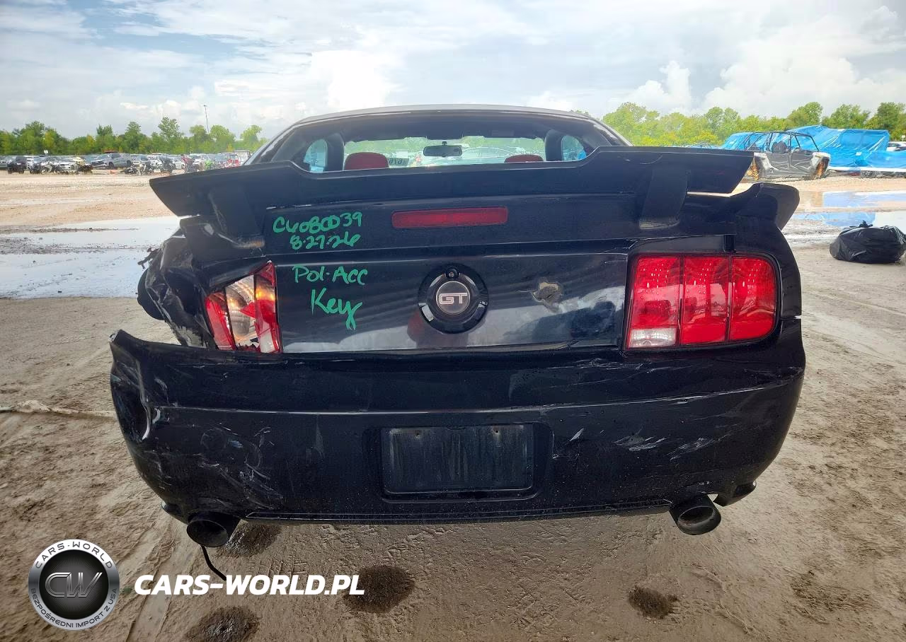 2008 Ford Mustang Gt VIN:1ZVHT82H585109982 - 6