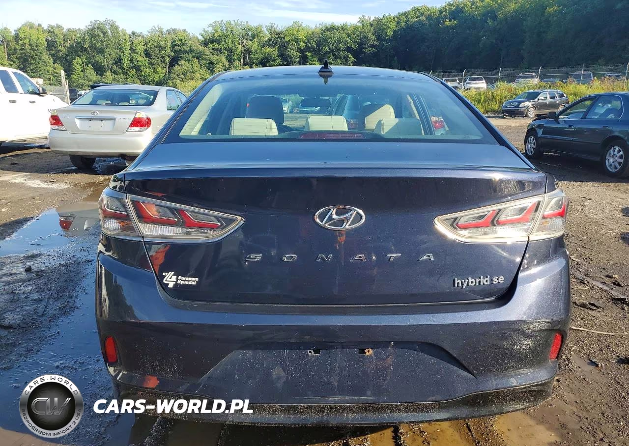 2018 Hyundai Sonata Hybrid Se VIN:KMHE24L38JA080135 - 6