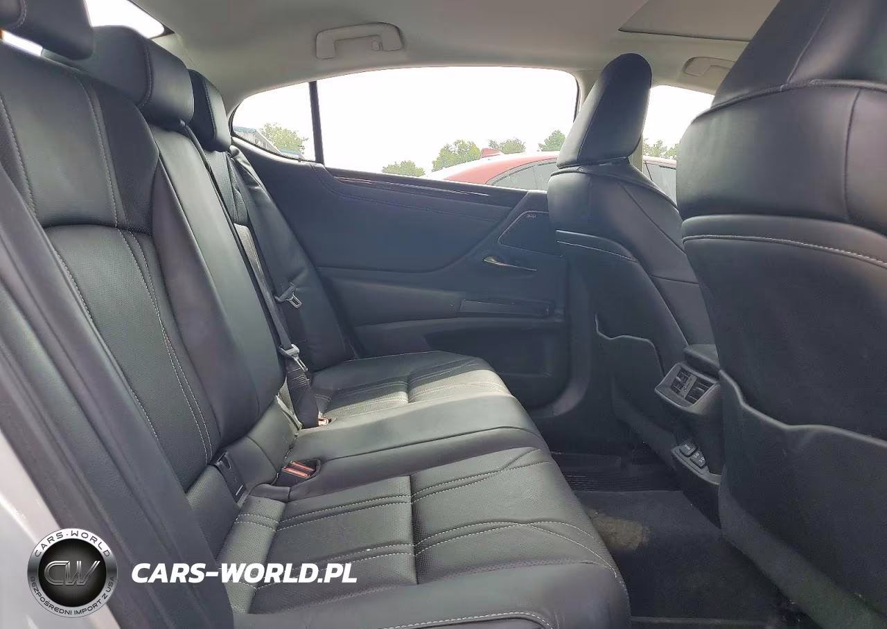 2021 Lexus Es 250 Luxury VIN:58AE11D15MU001630 - 10
