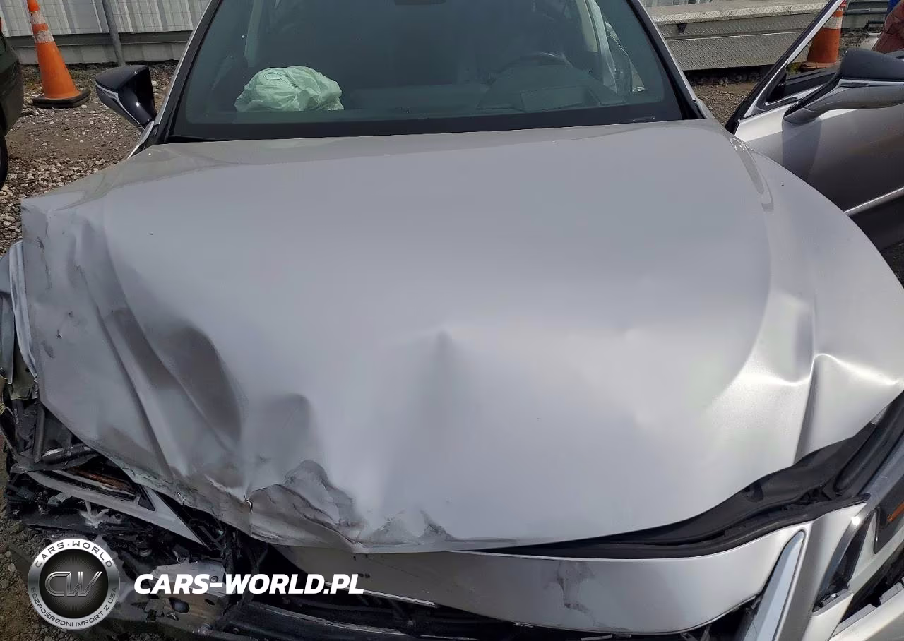 2021 Lexus Es 250 Luxury VIN:58AE11D15MU001630 - 11