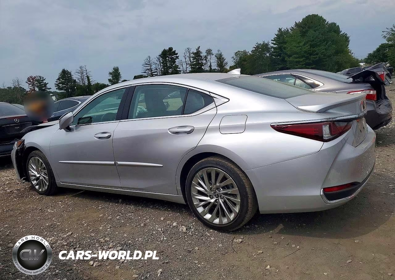 2021 Lexus Es 250 Luxury VIN:58AE11D15MU001630 - 2