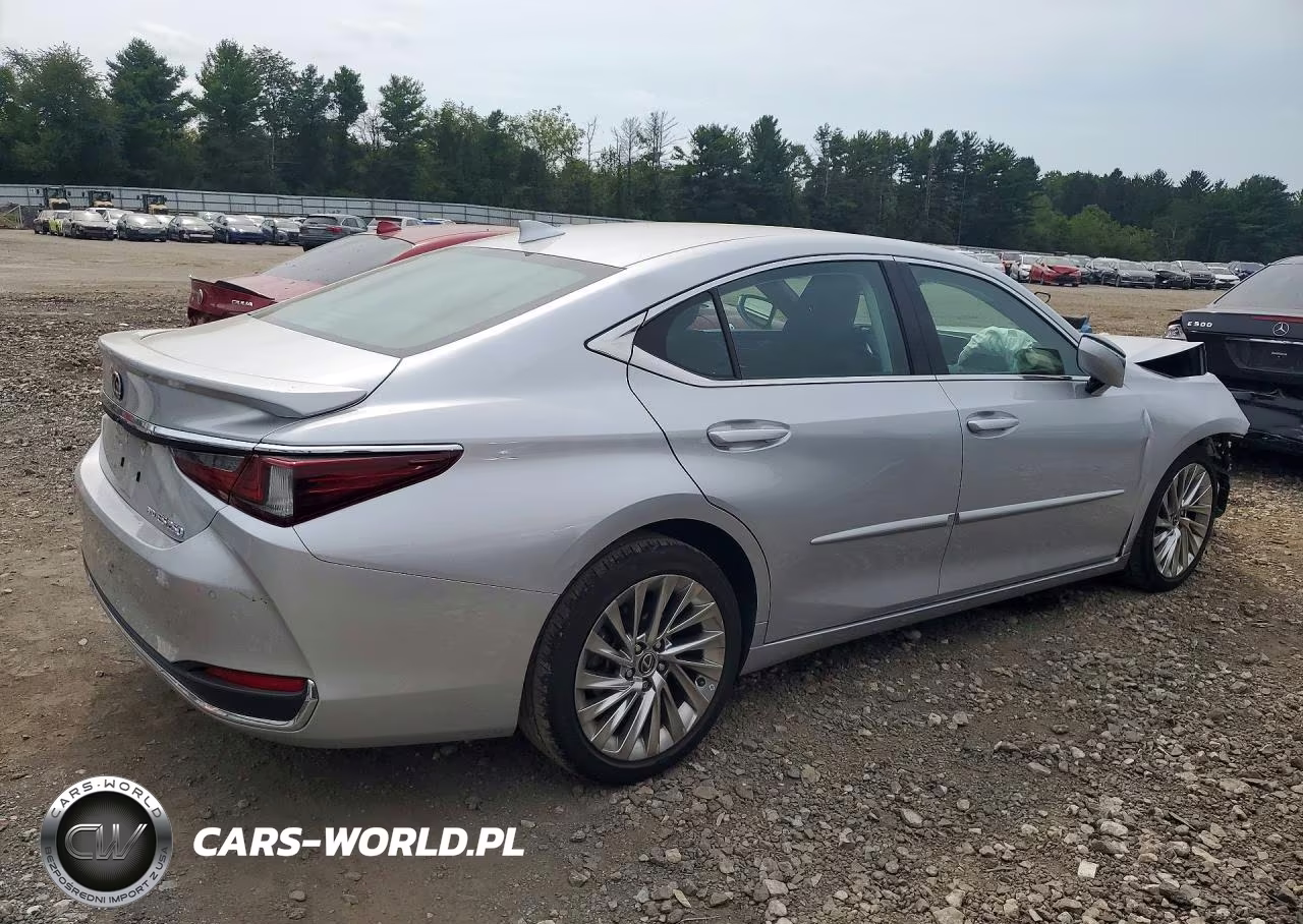 2021 Lexus Es 250 Luxury VIN:58AE11D15MU001630 - 3