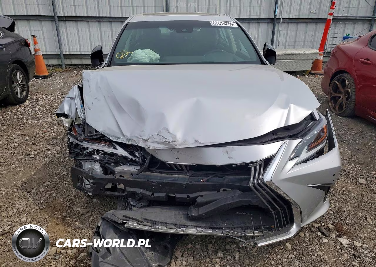 2021 Lexus Es 250 Luxury VIN:58AE11D15MU001630 - 5