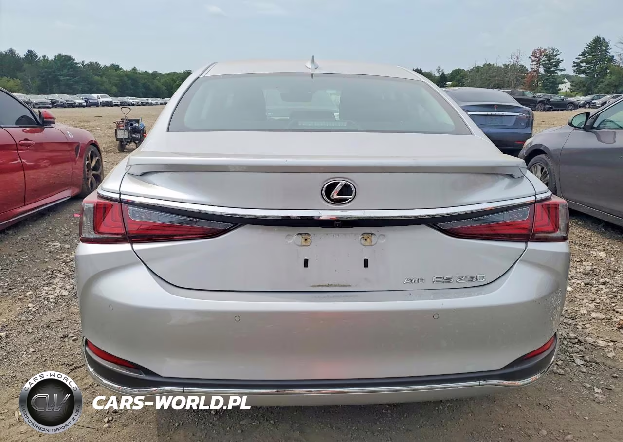 2021 Lexus Es 250 Luxury VIN:58AE11D15MU001630 - 6