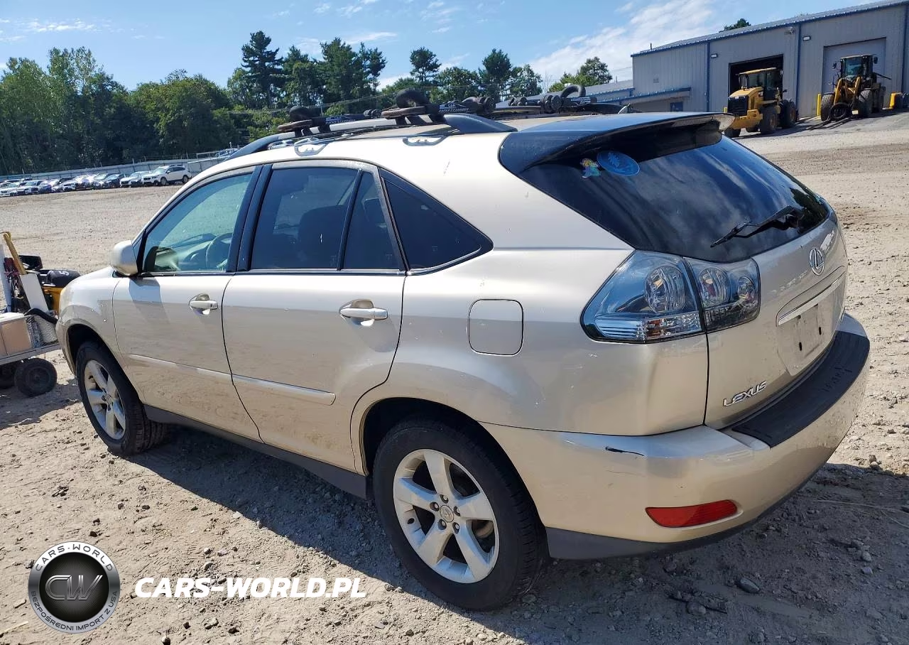 2004 Lexus Rx 330 VIN:JTJHA31U740024169 - 2