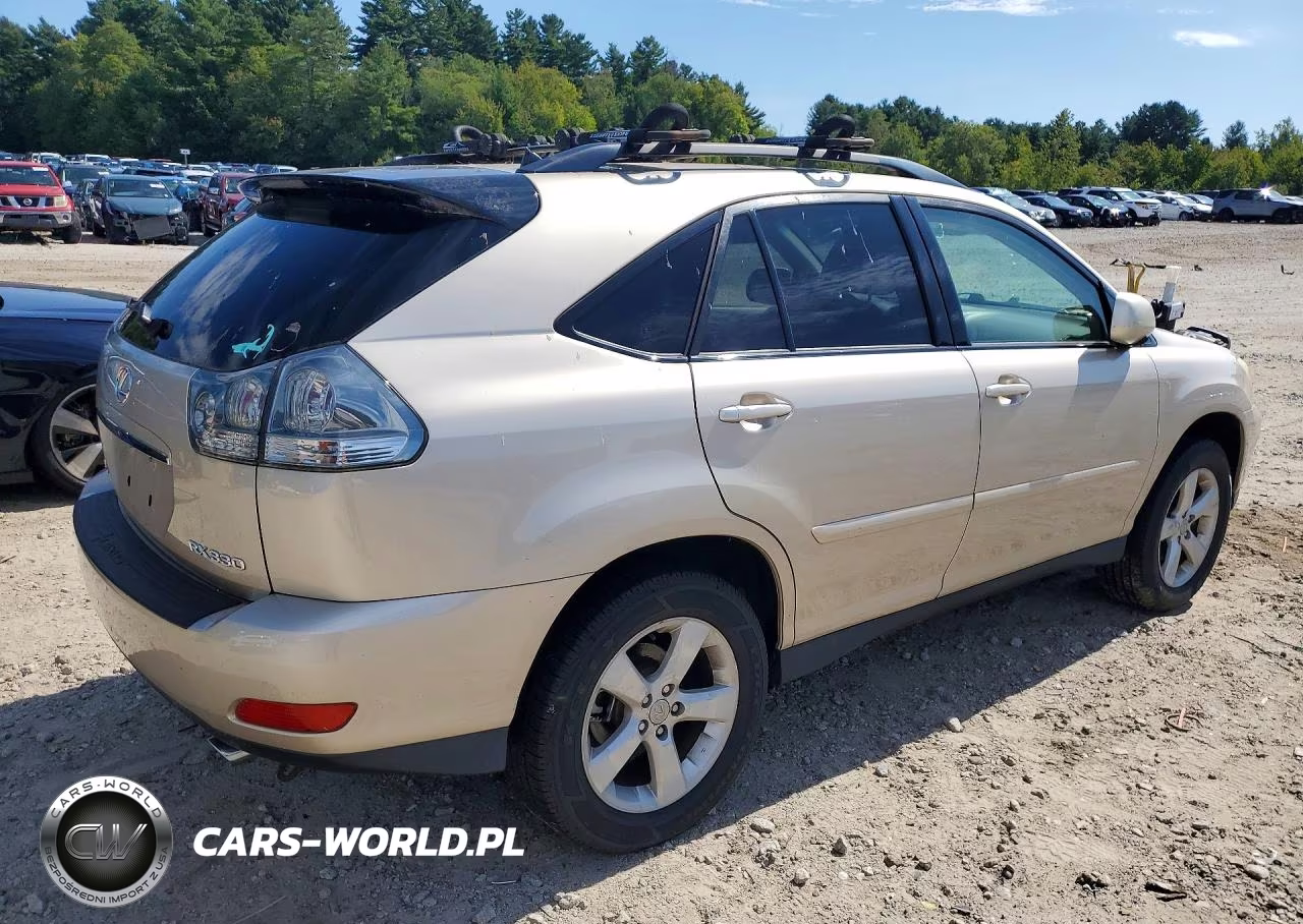 2004 Lexus Rx 330 VIN:JTJHA31U740024169 - 3