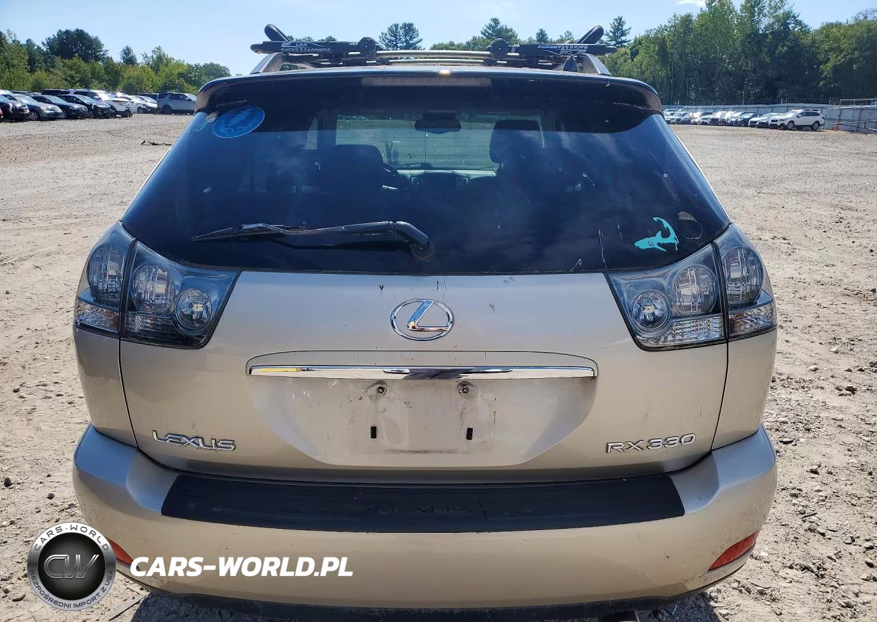 2004 Lexus Rx 330 VIN:JTJHA31U740024169 - 6
