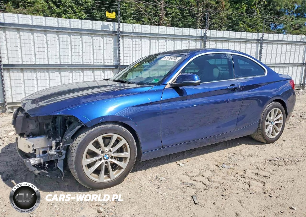 2016 BMW 228 Xi Sulev VIN:WBA1G9C51GV598895 - 1