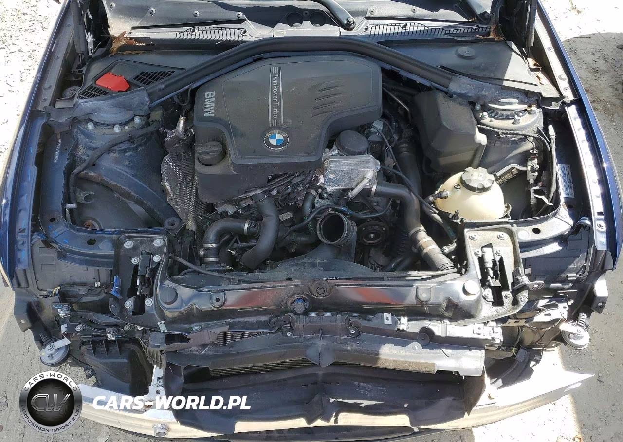 2016 BMW 228 Xi Sulev VIN:WBA1G9C51GV598895 - 11