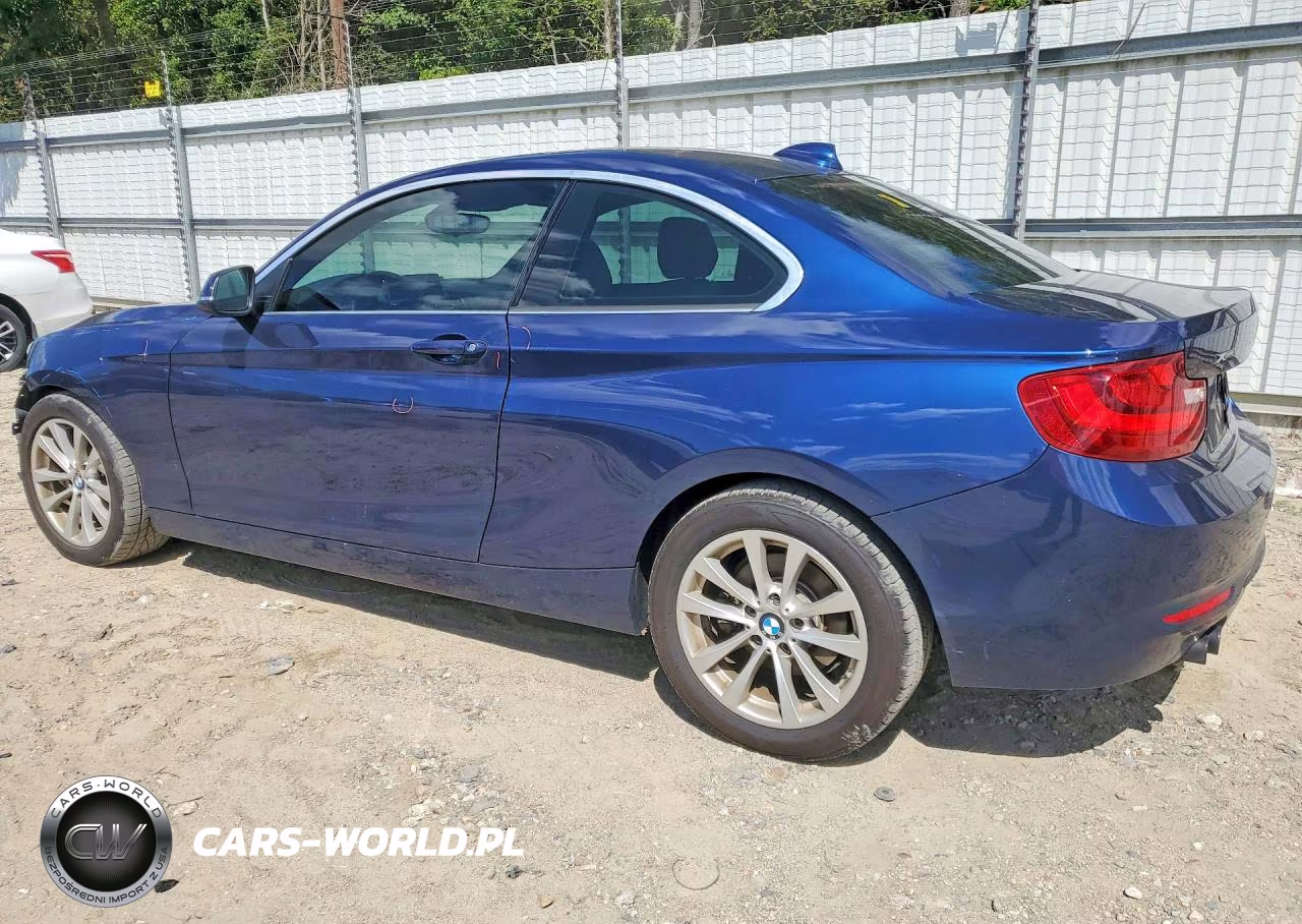 2016 BMW 228 Xi Sulev VIN:WBA1G9C51GV598895 - 2