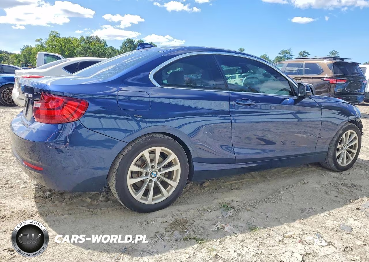 2016 BMW 228 Xi Sulev VIN:WBA1G9C51GV598895 - 3