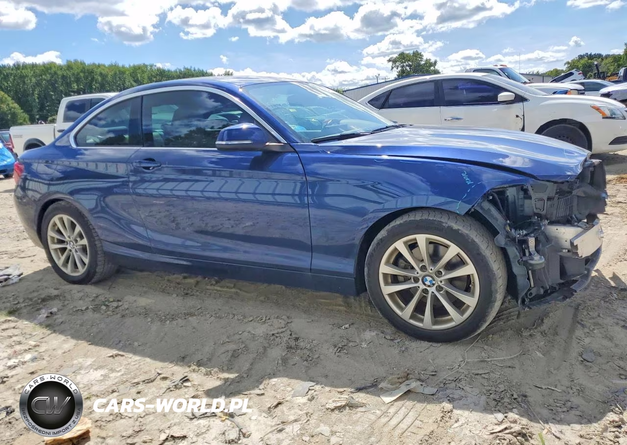 2016 BMW 228 Xi Sulev VIN:WBA1G9C51GV598895 - 4