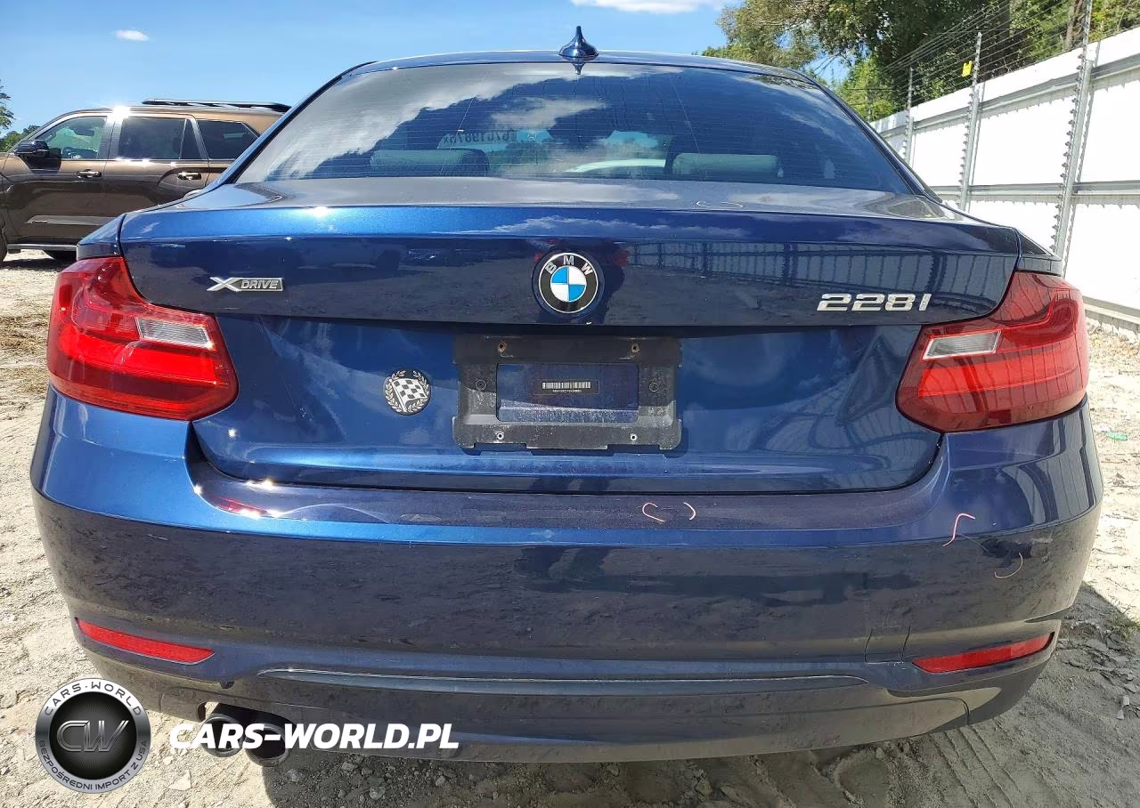 2016 BMW 228 Xi Sulev VIN:WBA1G9C51GV598895 - 6