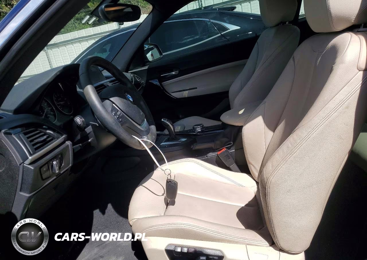 2016 BMW 228 Xi Sulev VIN:WBA1G9C51GV598895 - 7