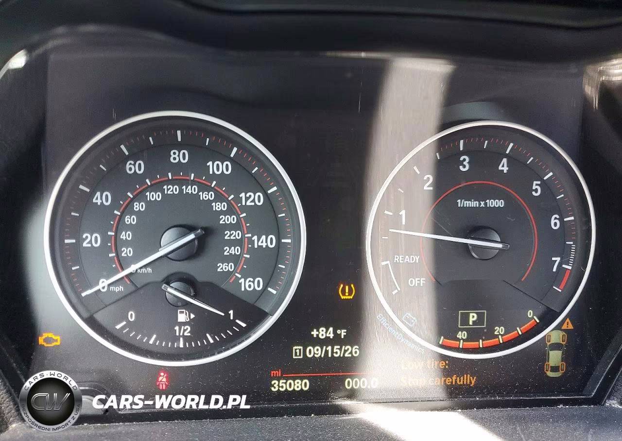 2016 BMW 228 Xi Sulev VIN:WBA1G9C51GV598895 - 9