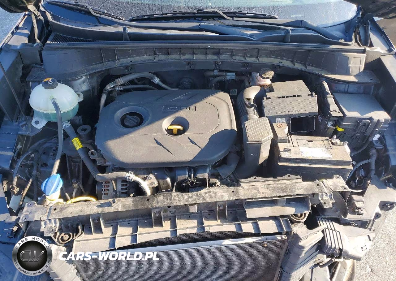 2020 Hyundai Tucson Value VIN:KM8J33A47LU142370 - 12