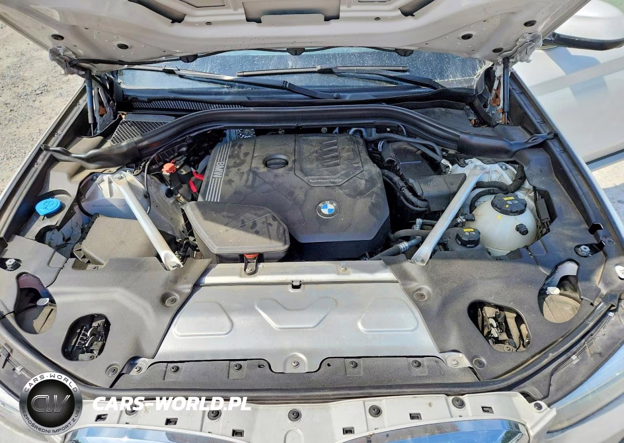 2021 BMW X3 Sdrive30I VIN:5UXTY3C09M9G42691 - 12
