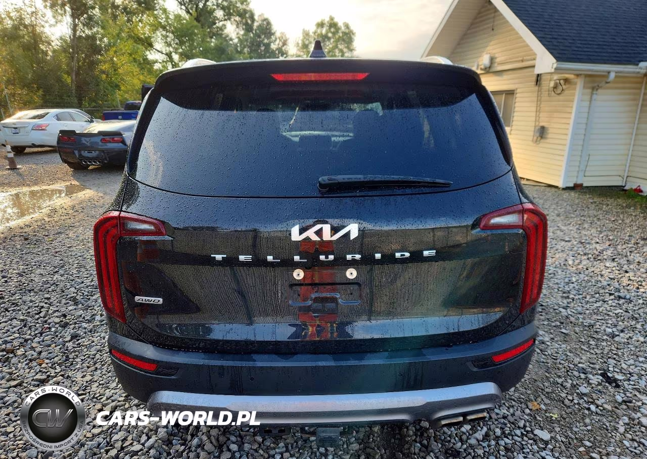 2022 Kia Telluride Ex VIN:5XYP3DHC9NG284886 - 6