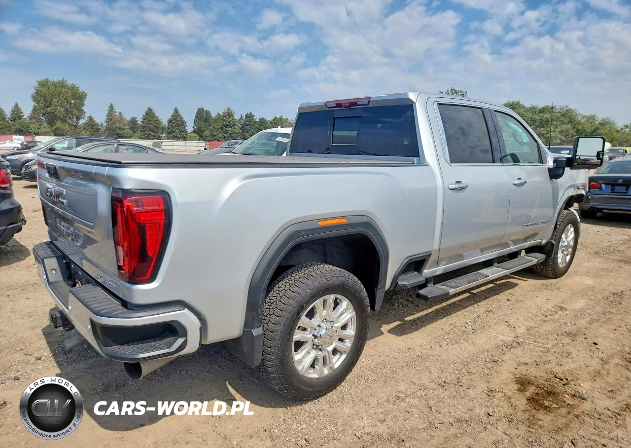2023 GMC Sierra K2500 Denali VIN:1GT49REY4PF260029 - 3