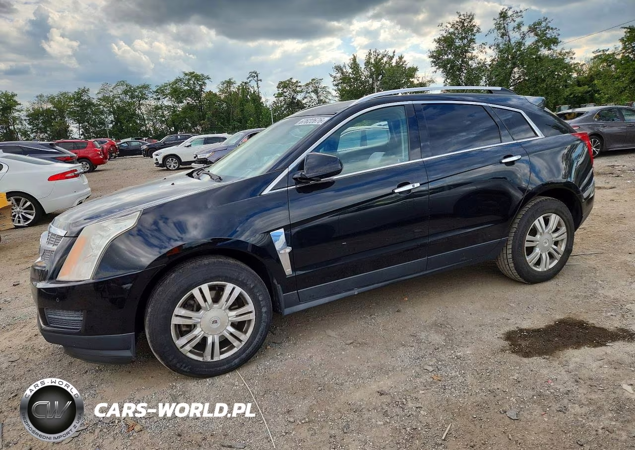 2011 Cadillac Srx Luxury Collection VIN:3GYFNAEYXBS566768 - 1