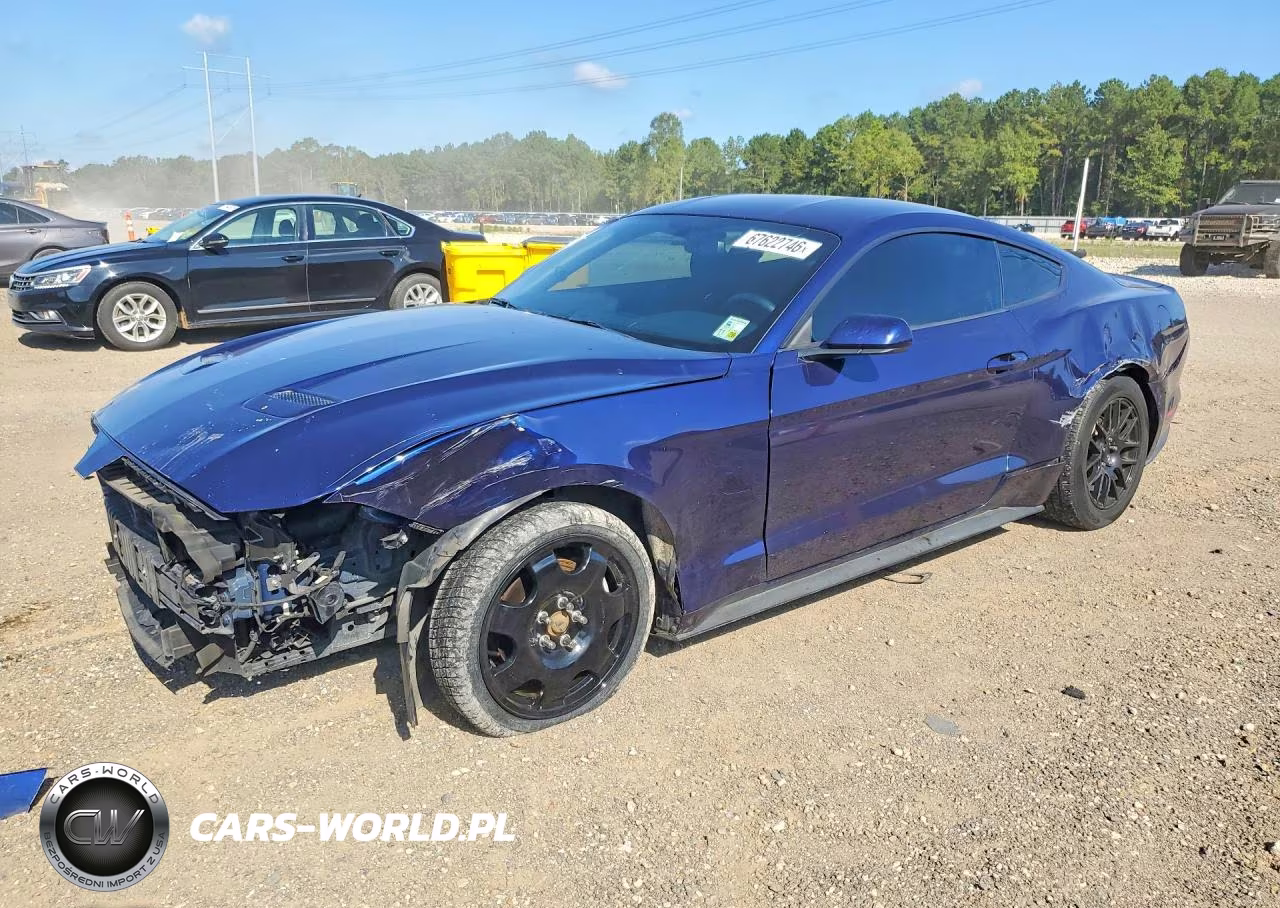 2019 Ford Mustang