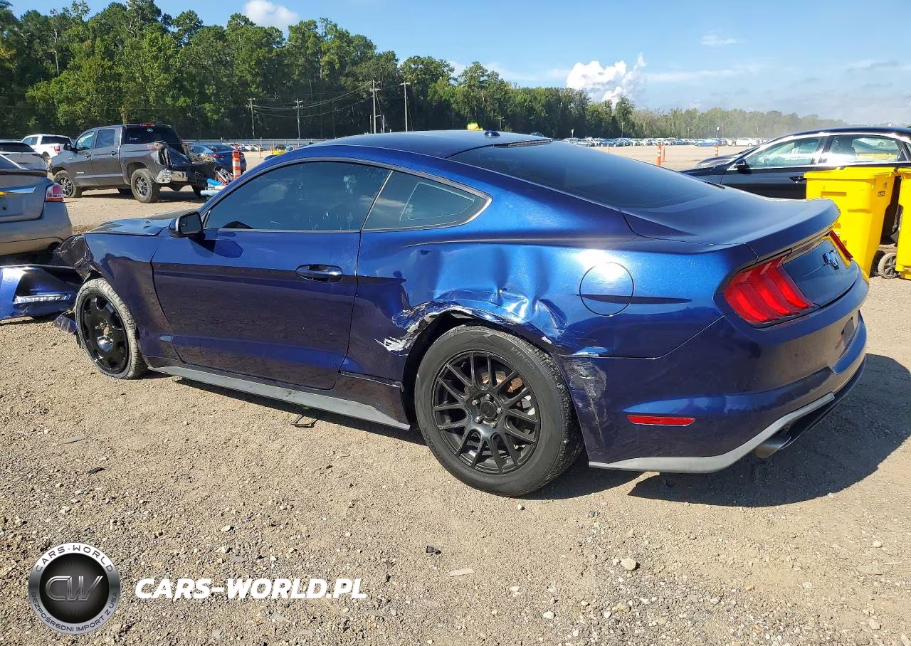 2019 Ford Mustang VIN:1FA6P8TH1K5120181 - 2