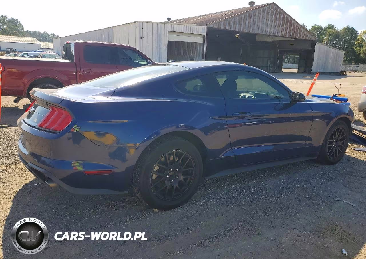 2019 Ford Mustang VIN:1FA6P8TH1K5120181 - 3