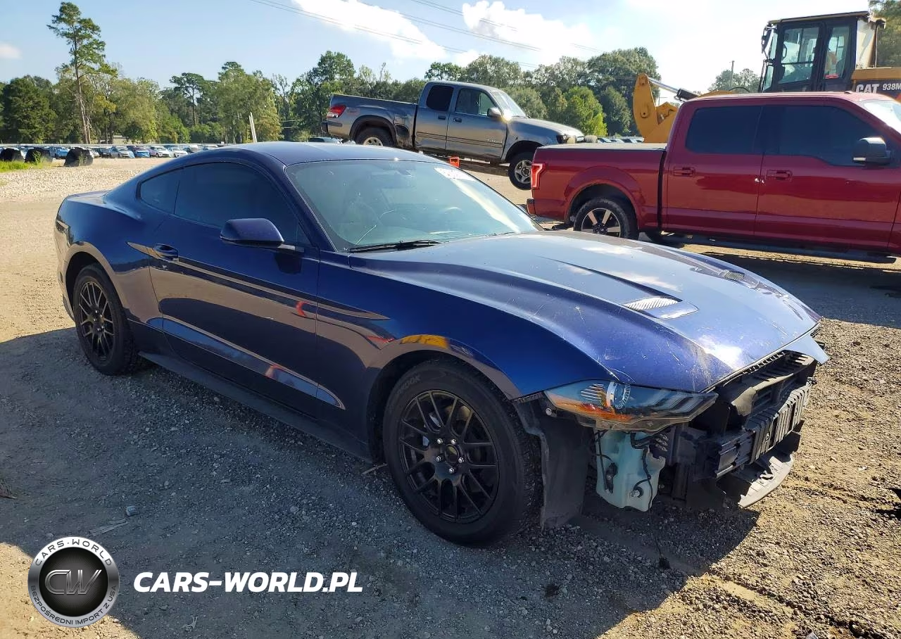 2019 Ford Mustang VIN:1FA6P8TH1K5120181 - 4