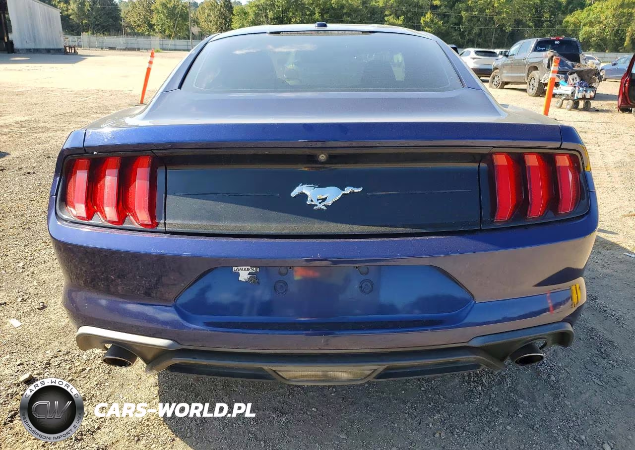 2019 Ford Mustang VIN:1FA6P8TH1K5120181 - 6