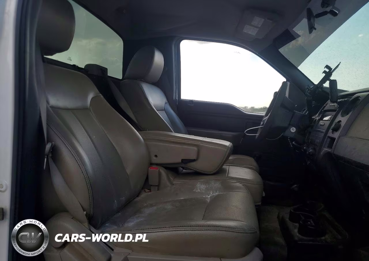 2009 Ford F150 VIN:1FTRF14W09KC71023 - 10