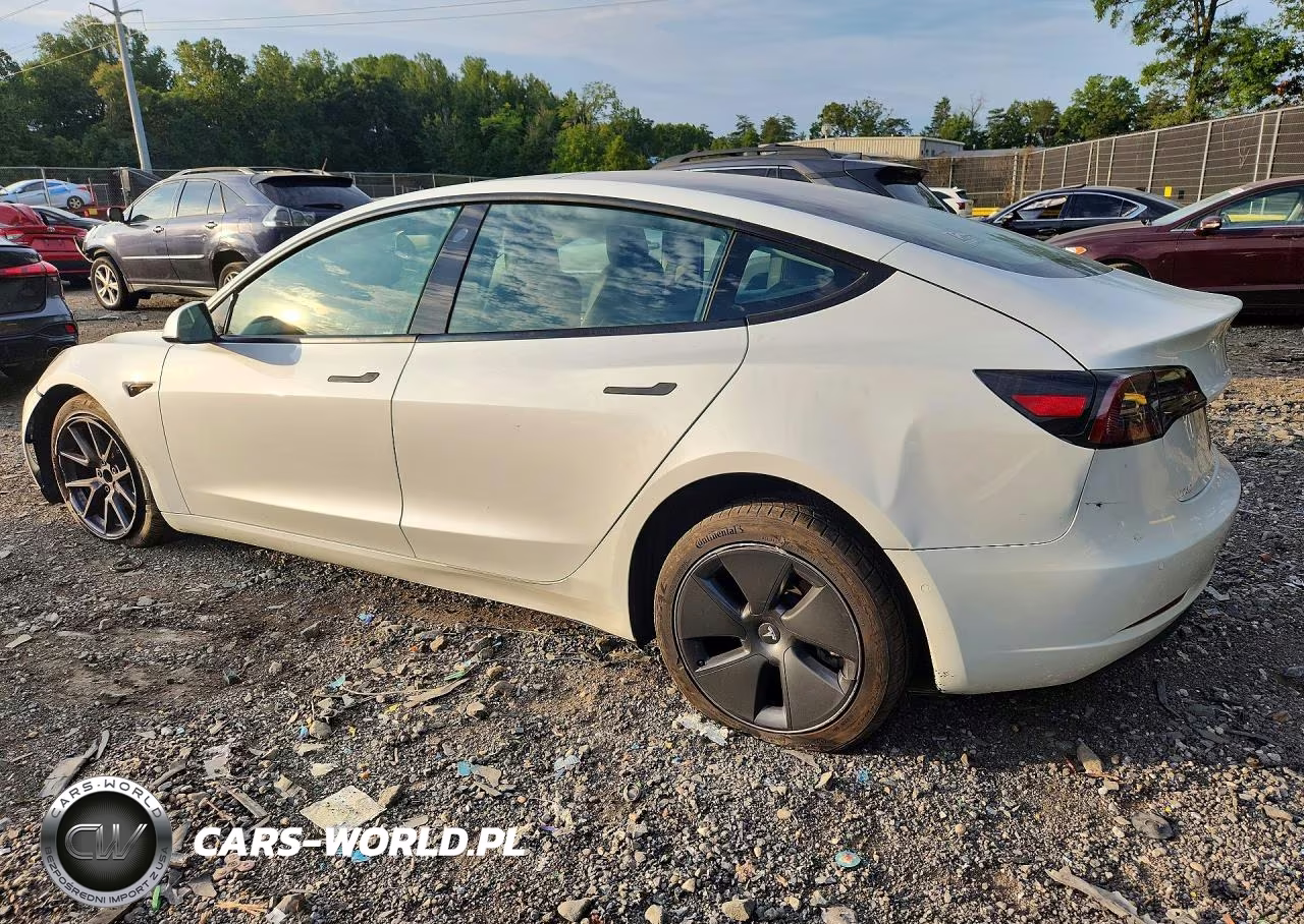 2021 Tesla Model 3 VIN:5YJ3E1EA1MF087940 - 2