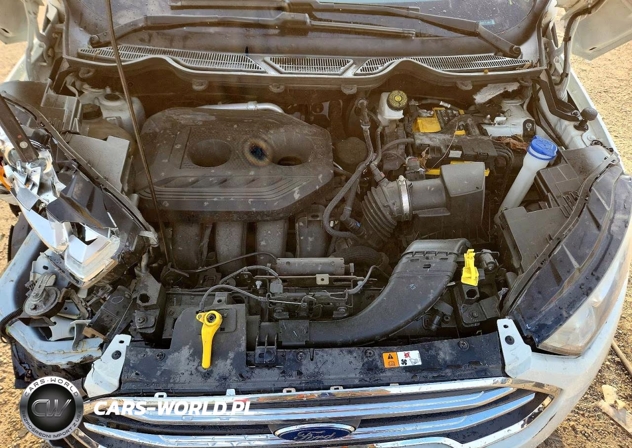 2020 Ford Ecosport Titanium VIN:MAJ6S3KL4LC359583 - 11