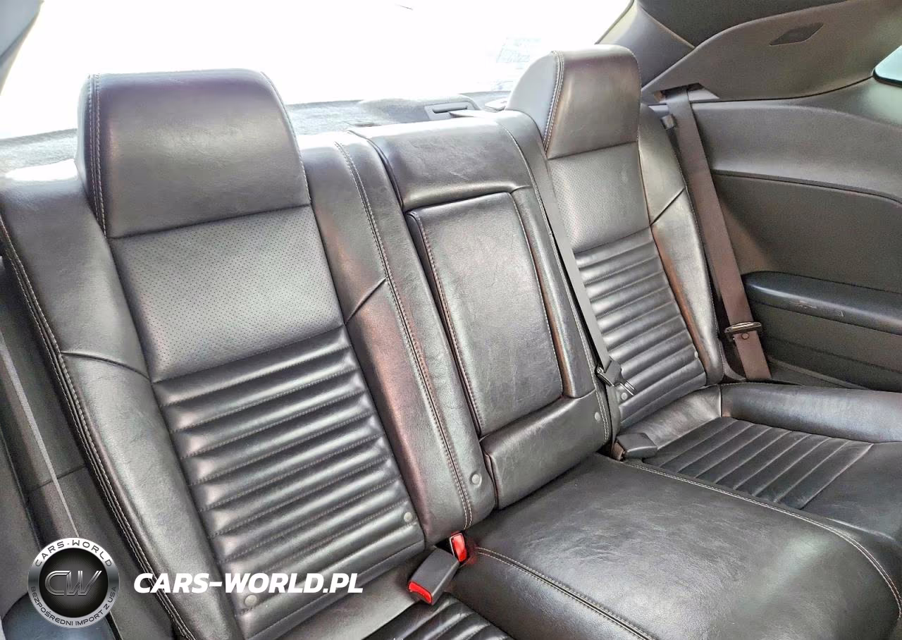 2010 Dodge Challenger Se VIN:2B3CJ4DV7AH219897 - 10